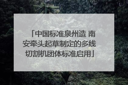 中国标准泉州造 南安牵头起草制定的多线切割机团体标准启用