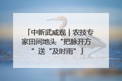 中新武威观｜农技专家田间地头“把脉开方”送“及时雨”