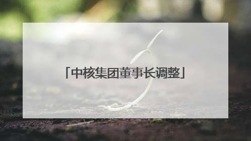 中核集团董事长调整