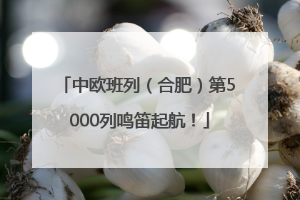 中欧班列（合肥）第5000列鸣笛起航！