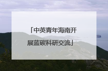 中英青年海南开展蓝碳科研交流