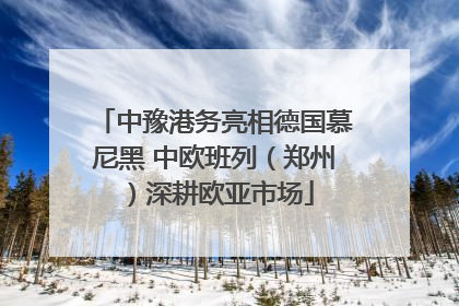 中豫港务亮相德国慕尼黑 中欧班列（郑州）深耕欧亚市场