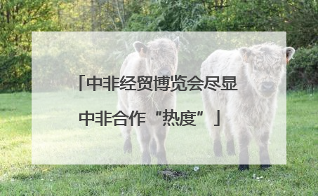中非经贸博览会尽显中非合作“热度”