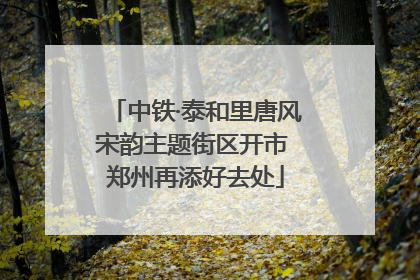 中铁·泰和里唐风宋韵主题街区开市 郑州再添好去处