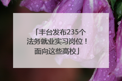 丰台发布235个法务就业实习岗位！面向这些高校