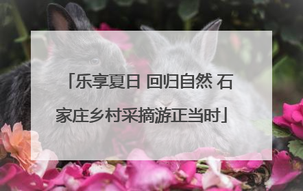 乐享夏日 回归自然 石家庄乡村采摘游正当时