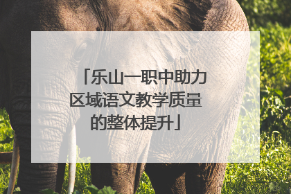 乐山一职中助力区域语文教学质量的整体提升