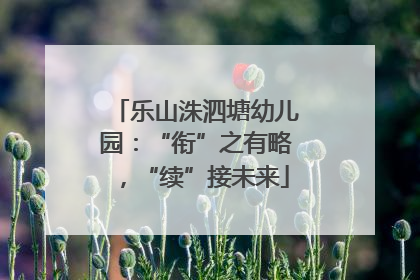 乐山洙泗塘幼儿园：“衔”之有略，“续”接未来