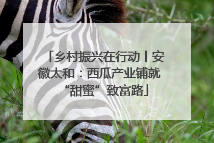 乡村振兴在行动丨安徽太和：西瓜产业铺就“甜蜜”致富路