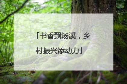 书香飘汤溪，乡村振兴添动力