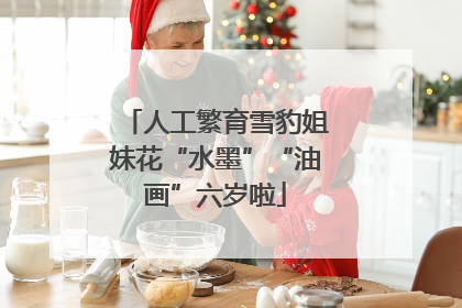 人工繁育雪豹姐妹花“水墨”“油画”六岁啦