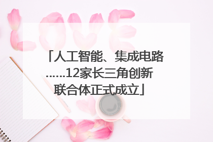 人工智能、集成电路……12家长三角创新联合体正式成立