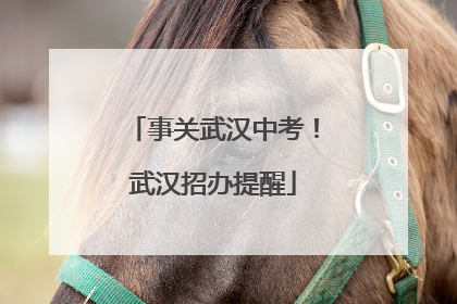 事关武汉中考！武汉招办提醒