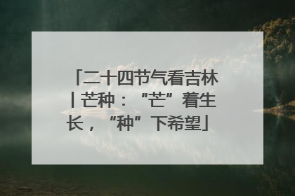 二十四节气看吉林丨芒种：“芒”着生长，“种”下希望