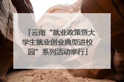 云南“就业政策暨大学生就业创业典型进校园”系列活动举行