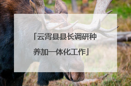 云霄县县长调研种养加一体化工作