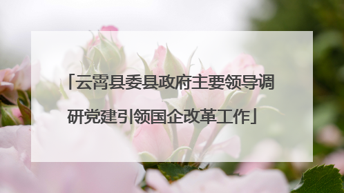 云霄县委县政府主要领导调研党建引领国企改革工作