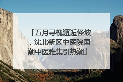 五月寻槐邂逅怪坡，沈北新区中医院国潮中医雅集引热潮
