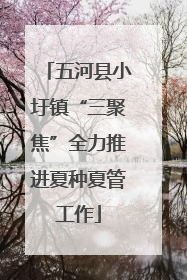 五河县小圩镇“三聚焦”全力推进夏种夏管工作