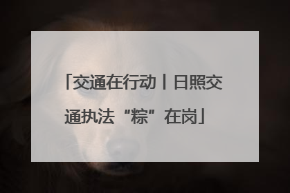 交通在行动丨日照交通执法“粽”在岗