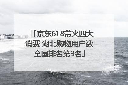 京东618带火四大消费 湖北购物用户数全国排名第9名