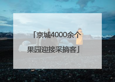 京城4000余个果园迎接采摘客