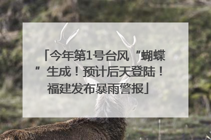 今年第1号台风“蝴蝶”生成！预计后天登陆！福建发布暴雨警报