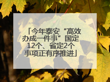 今年泰安“高效办成一件事”国定12个、省定2个事项正有序推进