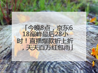 今晚8点，京东618巅峰最后28小时！直播爆款折上折，天天百万红包雨