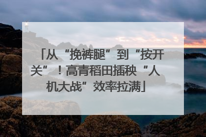 从“挽裤腿”到“按开关”！高青稻田插秧“人机大战”效率拉满