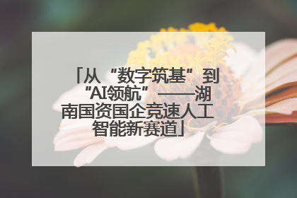 从“数字筑基”到“AI领航”——湖南国资国企竞速人工智能新赛道