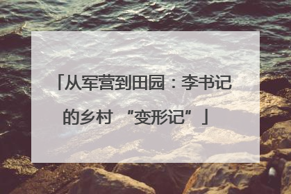 从军营到田园：李书记的乡村 “变形记”
