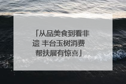 从品美食到看非遗 丰台玉树消费帮扶展有惊喜