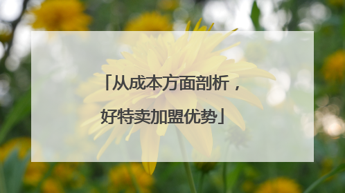 从成本方面剖析，好特卖加盟优势