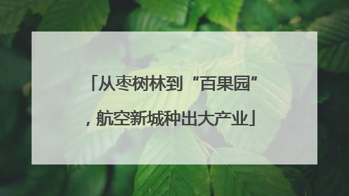 从枣树林到“百果园”，航空新城种出大产业