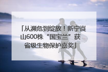 从濒危到绽放！新宁崀山600株“国宝兰”获省级生物保护嘉奖