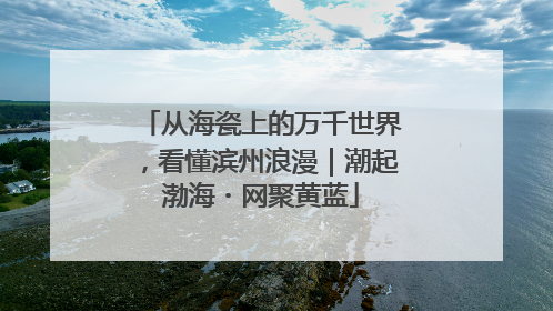 从海瓷上的万千世界，看懂滨州浪漫｜潮起渤海・网聚黄蓝