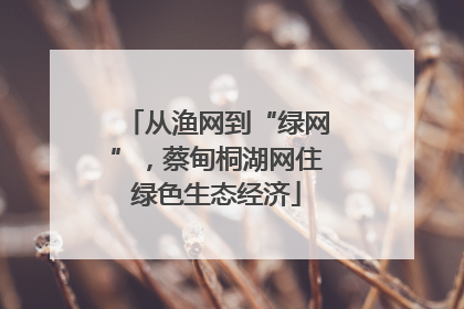 从渔网到“绿网”，蔡甸桐湖网住绿色生态经济