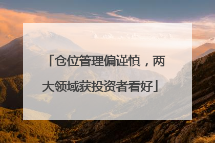 仓位管理偏谨慎，两大领域获投资者看好