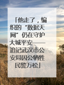 他走了，编织的“数据天网”仍在守护大城平安——追记武汉市公安局因公牺牲民警万松