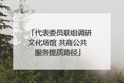 代表委员联组调研文化场馆 共商公共服务提质路径