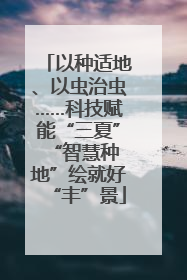 以种适地、以虫治虫……科技赋能“三夏” “智慧种地”绘就好“丰”景