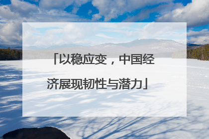 以稳应变，中国经济展现韧性与潜力