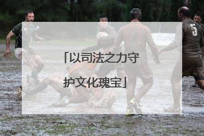 以司法之力守护文化瑰宝