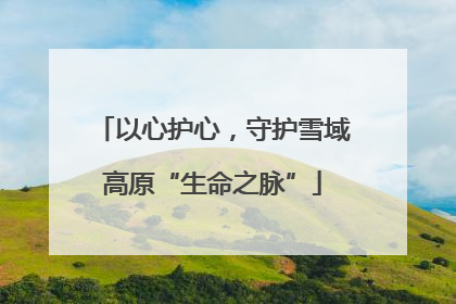 以心护心，守护雪域高原“生命之脉”