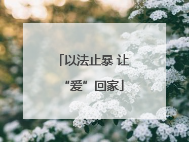 以法止暴 让“爱”回家