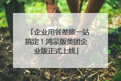 企业用餐差旅一站搞定！鸿蒙版美团企业版正式上线