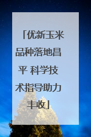 优新玉米品种落地昌平 科学技术指导助力丰收