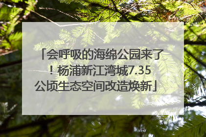 会呼吸的海绵公园来了！杨浦新江湾城7.35公顷生态空间改造焕新