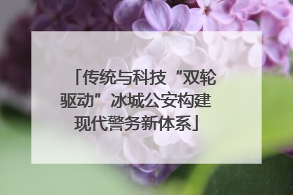 传统与科技“双轮驱动”冰城公安构建现代警务新体系